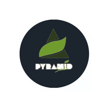Pyramid Seeds auto